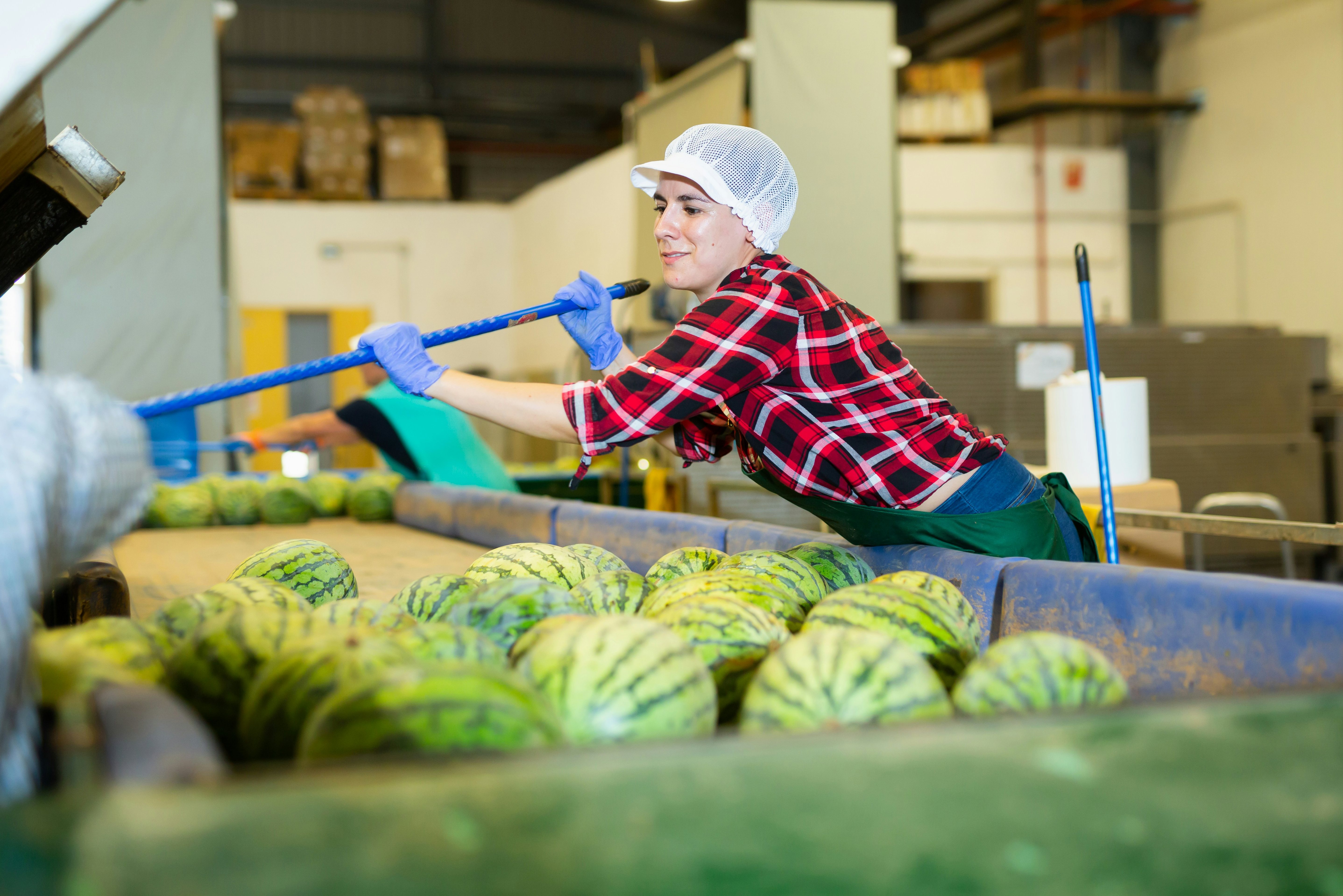 Opracowanie Standardów Współpracy z Klientami